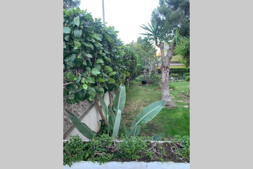 Apartamento La Dorada Torremolinos Ngoại thất bức ảnh